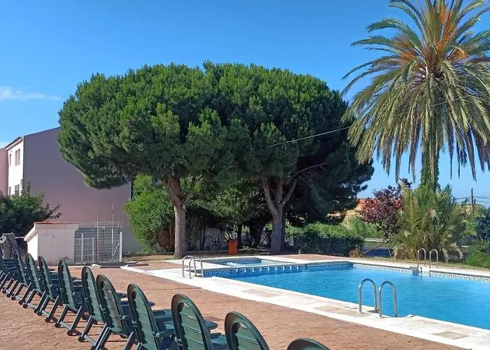 Perros hoteles Sol Y Luna 3000